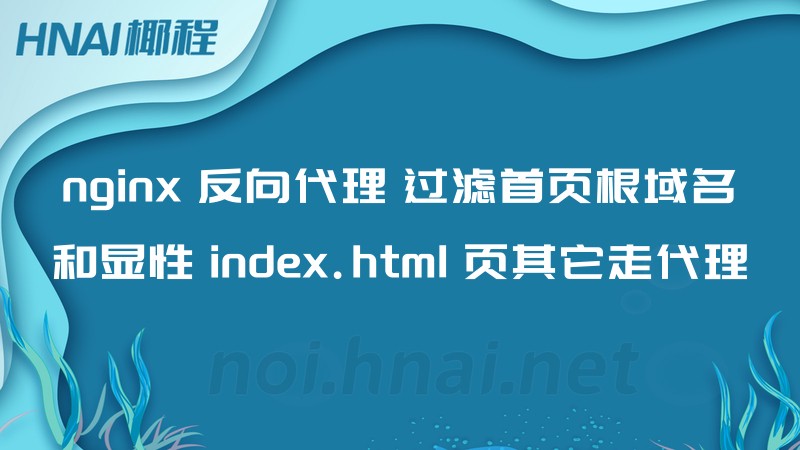 nginx 反向代理 过滤首页根域名和显性 index.html 页其它走代理