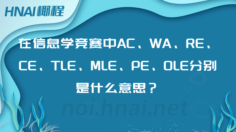 在信息学竞赛中AC、WA、RE、CE、TLE、MLE、PE、OLE分别是什么意思？